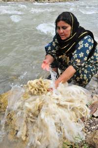 Wool Washing 2