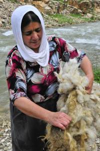 Wool Washing 5